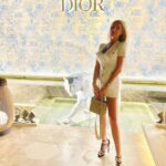 Элитная модель